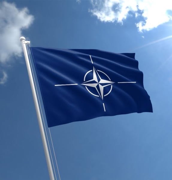 NATO Cowards